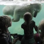 Emmen: Wildlands Adventure Zoo and Rimbula River Boat Ride - Facilities and Practicalities