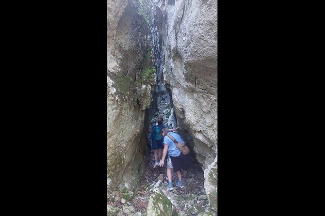 Enchanted Forest Hike and Wine Tasting Private Tour - Final Thoughts: Is It Worth It?