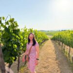 Enchanting Small Group Chianti Castles & Wine Experience - Transportation and Practicalities