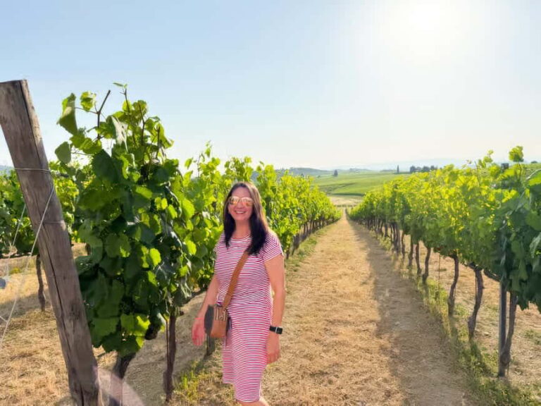 Enchanting Small Group Chianti Castles & Wine Experience - Transportation and Practicalities