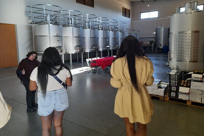 Enjoy The Algarvian Wine Taste & Coast Line Private Van Tour - Practical Details and What to Expect