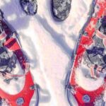 Enjoy the Local Favorite in One Day - Who Is This Tour Best For?