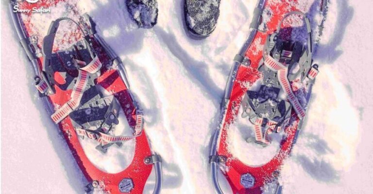 Enjoy the Local Favorite in One Day - Who Is This Tour Best For?