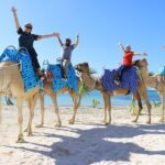 ENJOY UNIQUE CAMEL RIDE in Puerto Morelos with Transportation - How Do Travelers Feel About It?