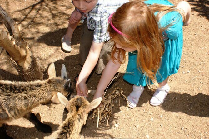 Entry Ticket for The Limestone Heritage Park and Gardens - Who Will Love This Tour?