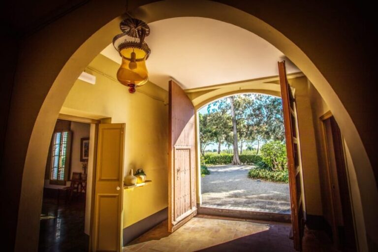 Entry ticket | Fundació Mas Miró - Mont-roig del Camp - Exploring Fundació Mas Miró in Depth