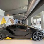 Entry to the Lamborghini Museum and Professional Simulator - The Driving Simulator Experience