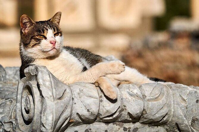 Ephesus and Virgin Mary House Private Tour with Lunch and Pickup - How Does the Price Stack Up?