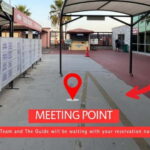 Ephesus: Private Guided Tour For Cruisers - The Practical Side: Logistics, Cost, and Tips