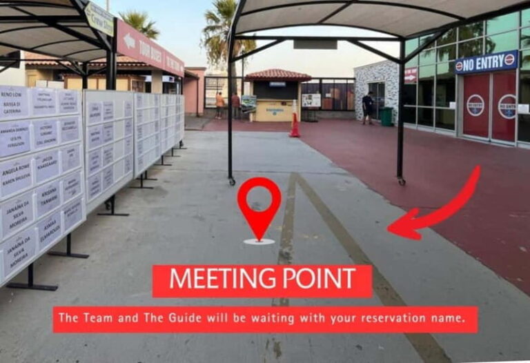 Ephesus: Private Guided Tour For Cruisers - The Practical Side: Logistics, Cost, and Tips