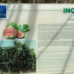 Ephesus tours wholesalerShopTours from cruise port Kusadasi - What to Expect at Each Stop