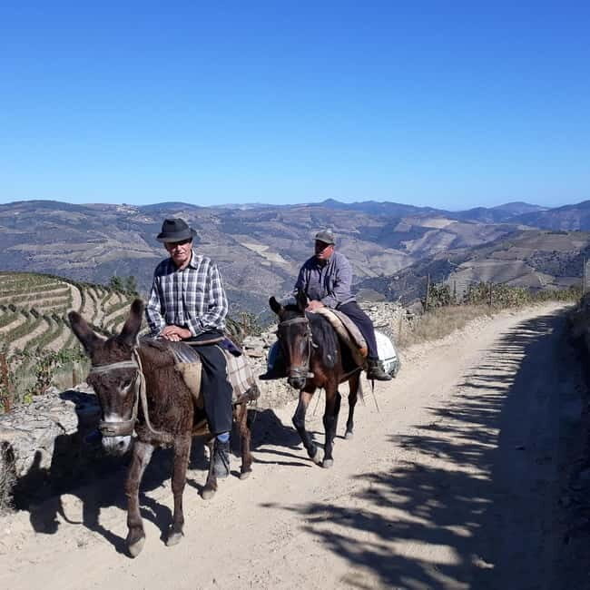 Ervedosa do Douro: Guided Walking Tour with Picnic Lunch - The Itinerary in Detail