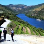 Ervedosa do Douro Walking Tour - The Itinerary: A Closer Look