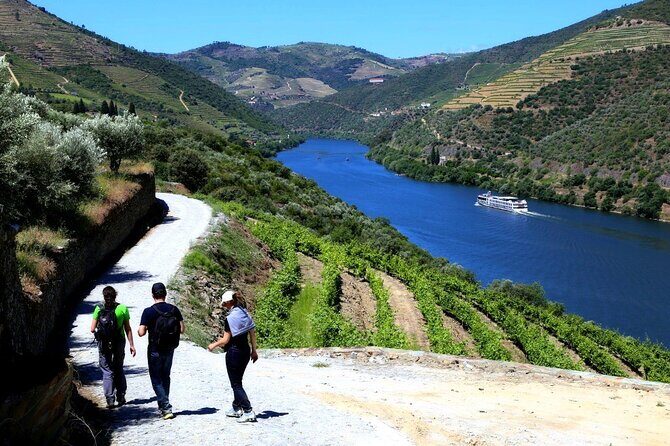 Ervedosa do Douro Walking Tour - The Itinerary: A Closer Look