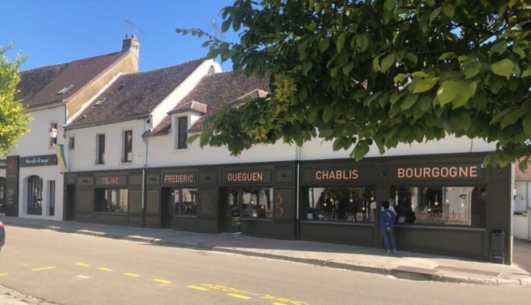 Escapade and tasting in the Chablis vineyards - What to Expect from the Tour