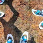 Escape from Tallinn  Hike, Swim, Forage & Cuddle Sled Dogs - Who Should Consider This Tour?