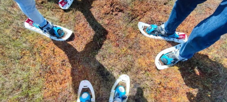 Escape from Tallinn  Hike, Swim, Forage & Cuddle Sled Dogs - Who Should Consider This Tour?