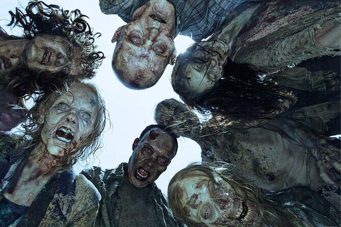 Escape Game outdoor The Walking Dead in Bordeaux - Practical aspects and value