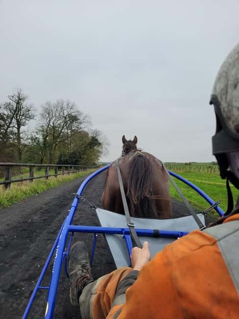 Escarmain: Tandem sulky ride to discover the world of racing - Final Thoughts