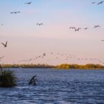 Escaroupim: 1 hour boat trip, guided tour - Why This Tour Works for You