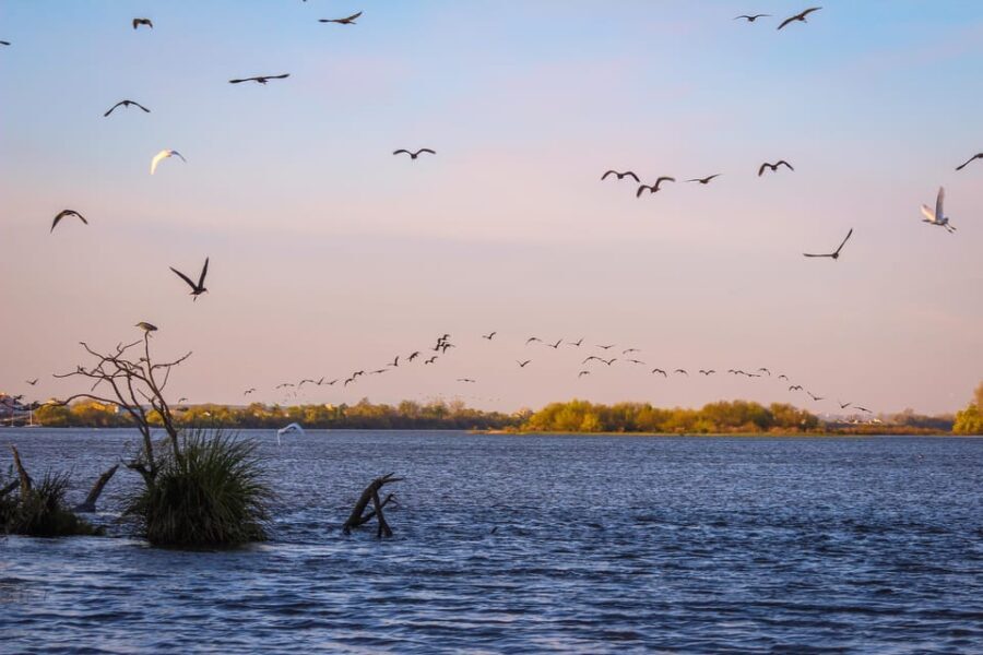 Escaroupim: 1 hour boat trip, guided tour - Why This Tour Works for You
