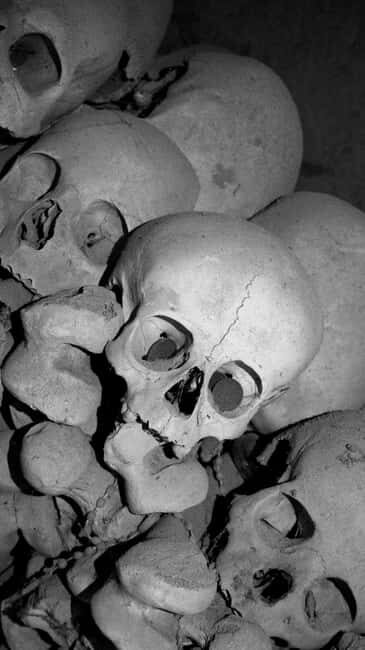 Esoteric Naples: Secrets, Ghosts & Street Food Tour - The Experience: A Closer Look