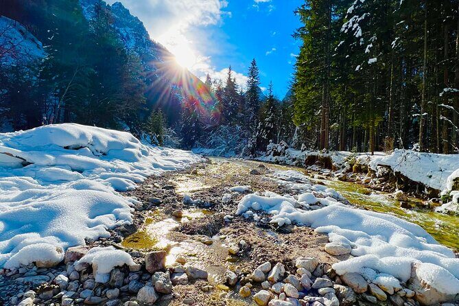 Essence of Slovenia Private Photoshoot Experience - How the Experience Feels in Practice