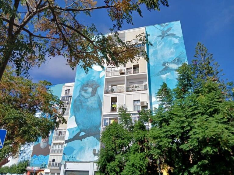 Estepona Art Murals and Tapas Walk with Local Guide - What to Expect From the Itinerary