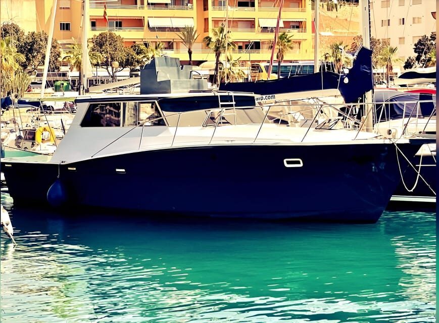 Estepona: Dolphin Searching Sunset Cruise with Drink & Snack - The sunset: a highlight worth savoring