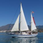 Estepona: Dolphin Watching Sailboat Cruise with Drink - The Experience: What You’ll Likely Encounter