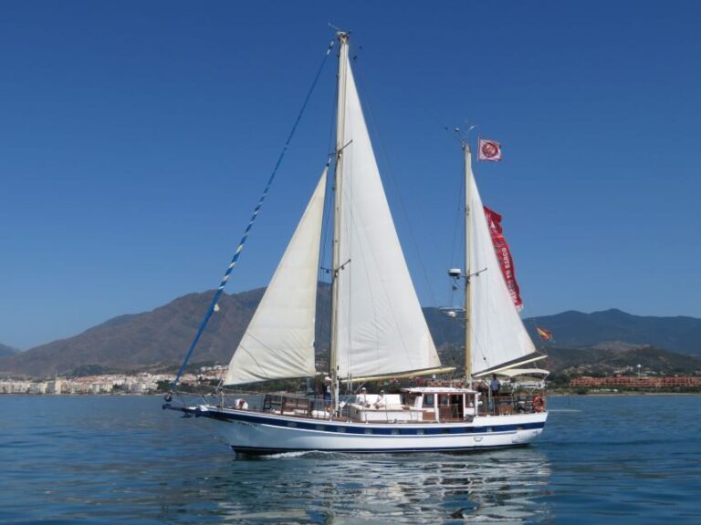 Estepona: Dolphin Watching Sailboat Cruise with Drink - The Experience: What You’ll Likely Encounter