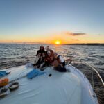 Estepona: Dolphins Searching Sea Cruise with Drink & Snacks - The Itinerary in Detail