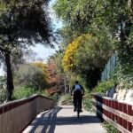 Estepona Walking Tour - City History, Culture & Gastronomy - Deep Dive into the Itinerary