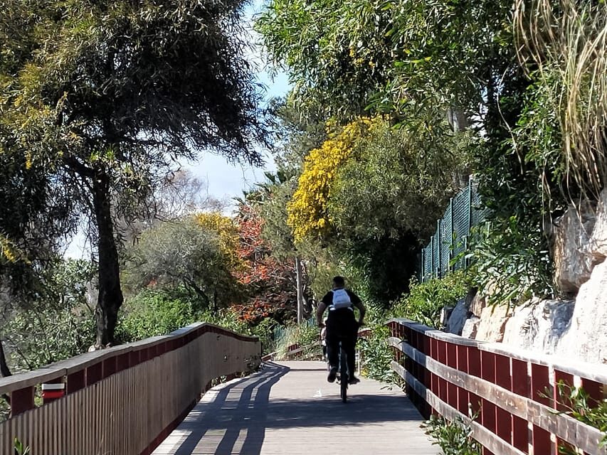 Estepona Walking Tour - City History, Culture & Gastronomy - Deep Dive into the Itinerary