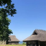 Estonian Open Air Museum  Cultural VIP tour from Tallinn - Breaking Down the Itinerary