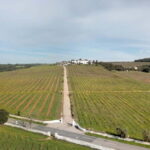 Estremoz, Alentejo, Portugal: Wine tour & Wine tasting - The Practical Details