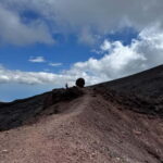 Etna: 2002 Eruption Craters Guided Hiking Tour - Whats Included and How It Works