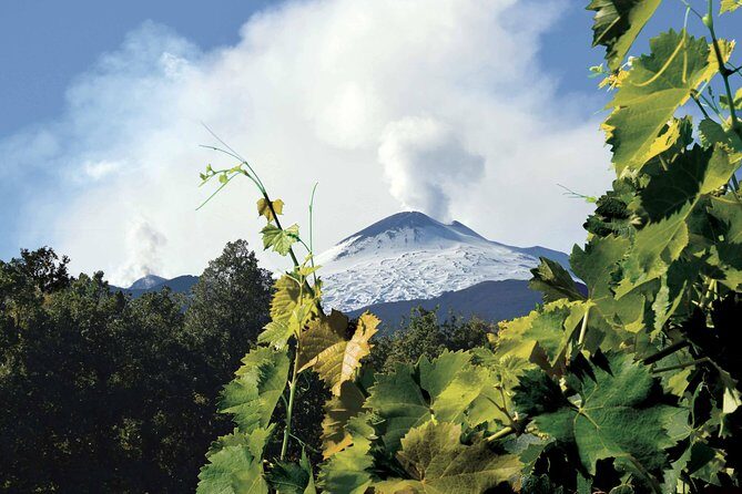 Etna and Wines Tour - What Travelers Say: Authentic Insights From Reviews