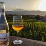 Etna excursion and wine tasting with Sicilian lunch - What the Reviews Say