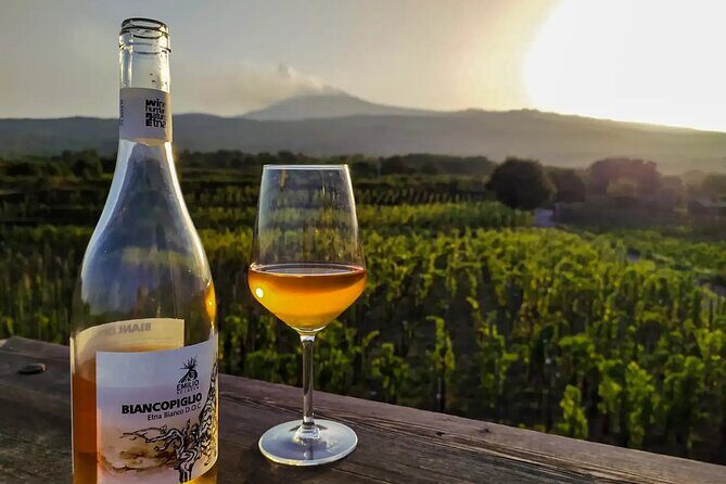 Etna excursion and wine tasting with Sicilian lunch - What the Reviews Say