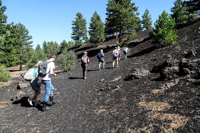Etna Morning Tour, caves and craters - Who Is This Tour Best Suited For?