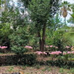 Etna & Sea: Pic Nic in Batia - Who Would Love This Experience?