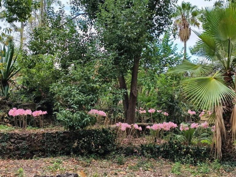 Etna & Sea: Pic Nic in Batia - Who Would Love This Experience?