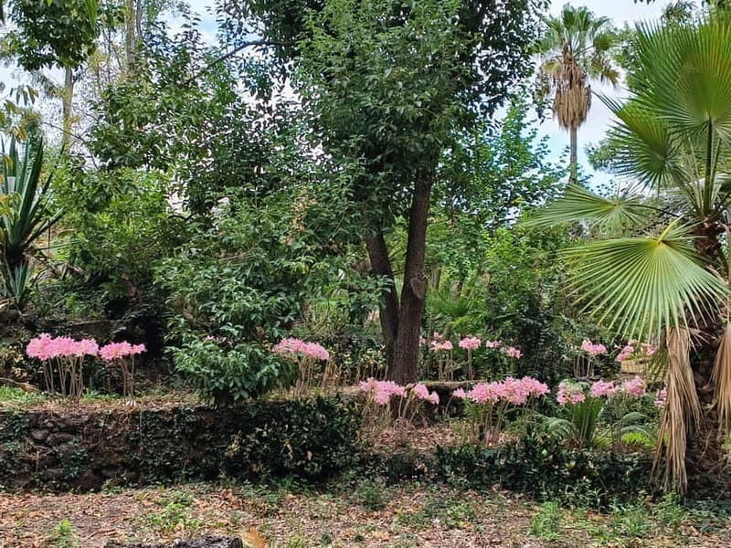 Etna & Sea: Pic Nic in Batia - Who Would Love This Experience?
