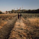 Etna Urban Winery, Vineyard Walk & Sunset Tasting Dinner - Exploring the Details