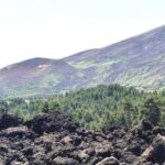 Etna walking tour, visit of a lava tunnel, Arancino tasting - The Real Value of the Tour: What Our Readers Say