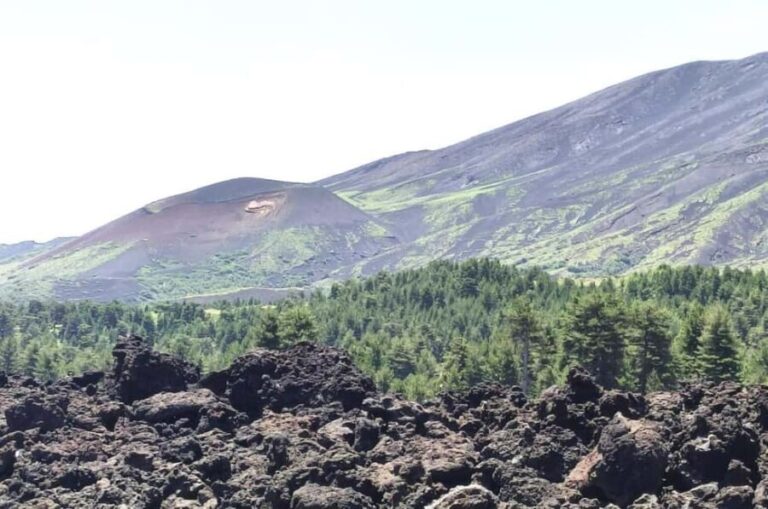 Etna walking tour, visit of a lava tunnel, Arancino tasting - The Real Value of the Tour: What Our Readers Say