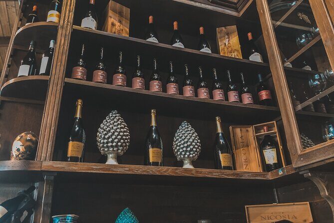 Etna Wine Tour - The Charm of the Lava Flows and Their Stories