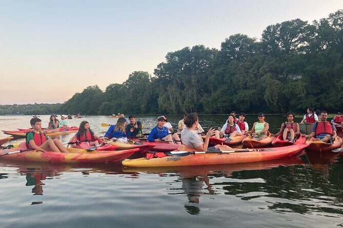 Evening Bat Watching Kayak Tour - What Could Be Considered
