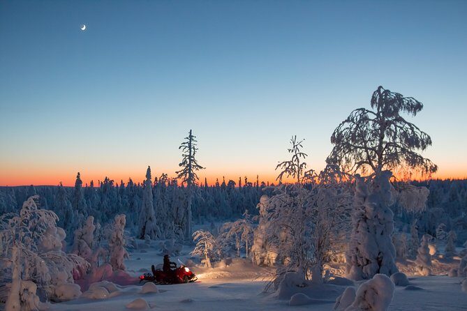 Evening Escape - Snowmobile safari and campfire in Rovaniemi - Practical Details and Value